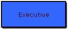 Executive