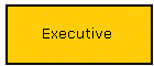 Executive