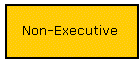 Non-Executive