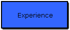 Experience